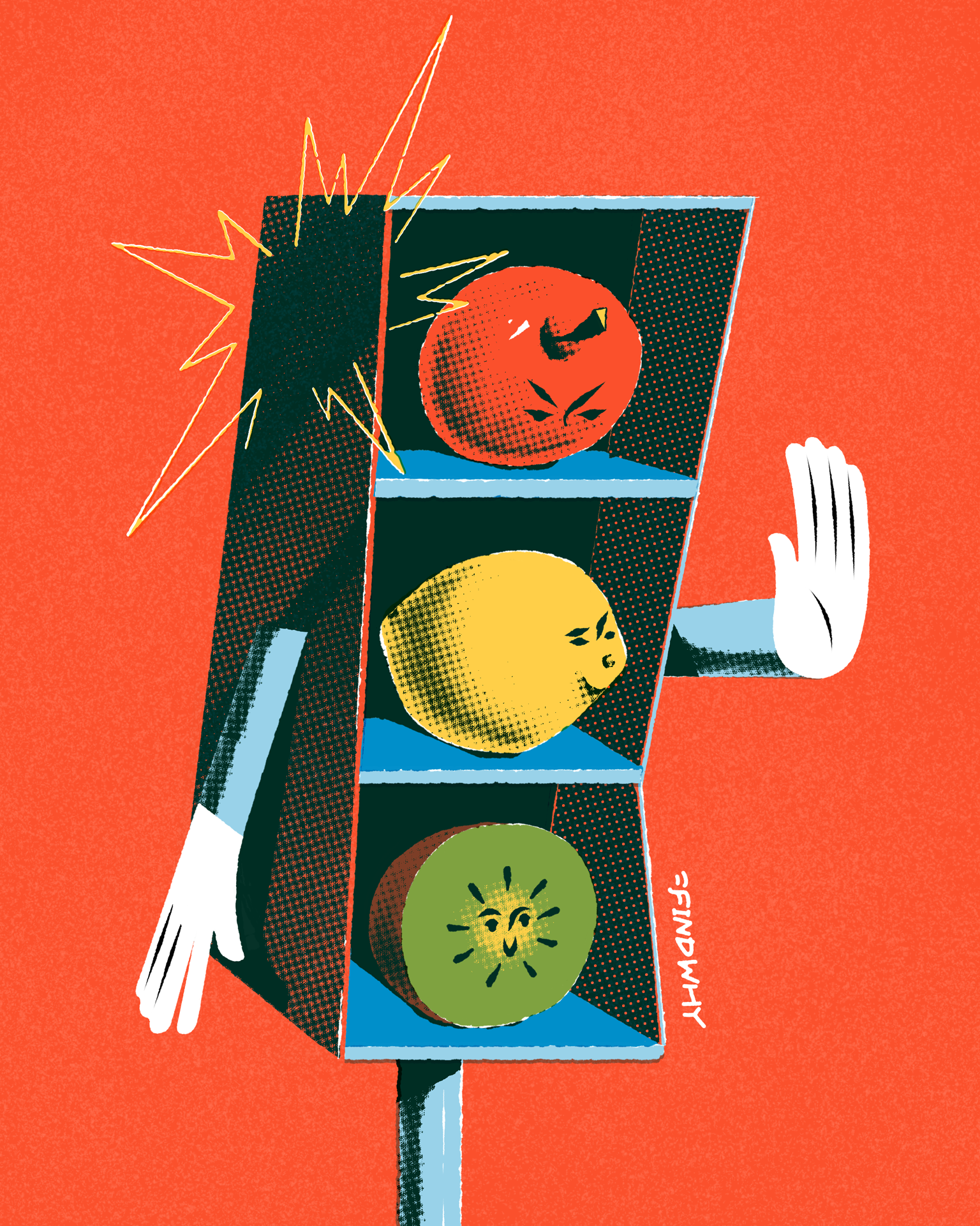 Findwhy illustration 10