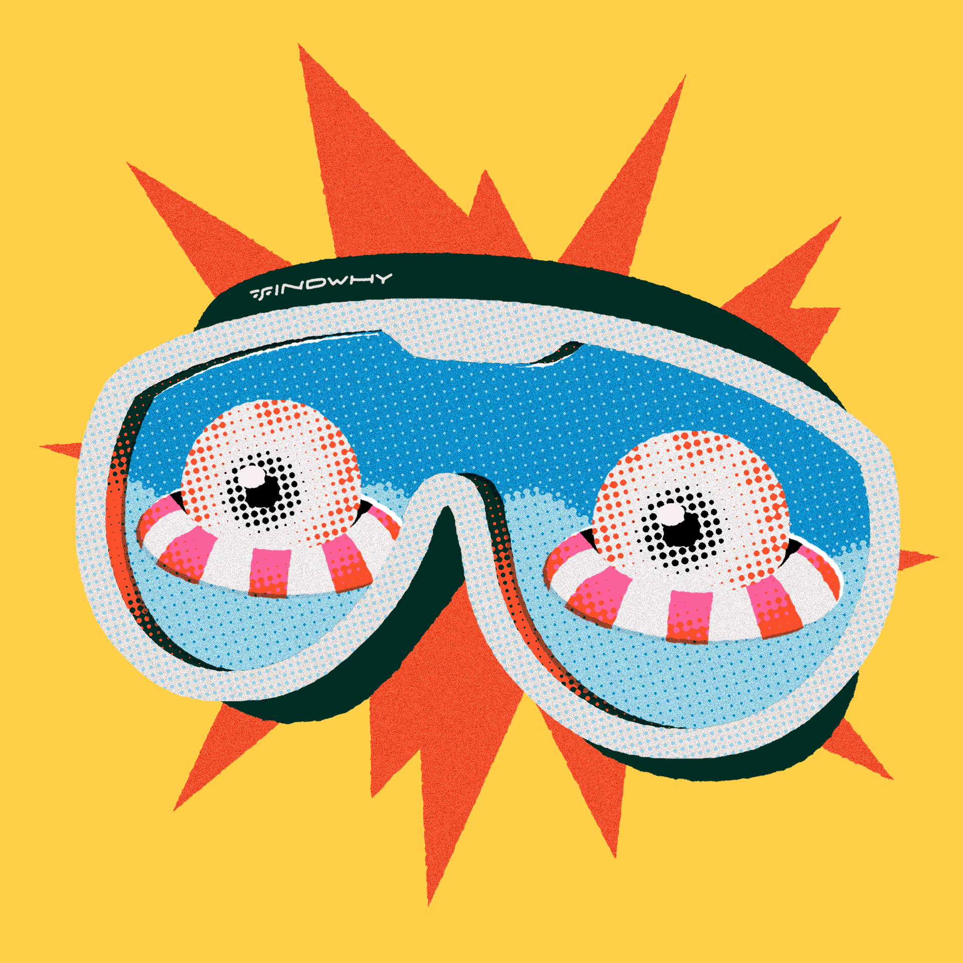 Findwhy illustration 2