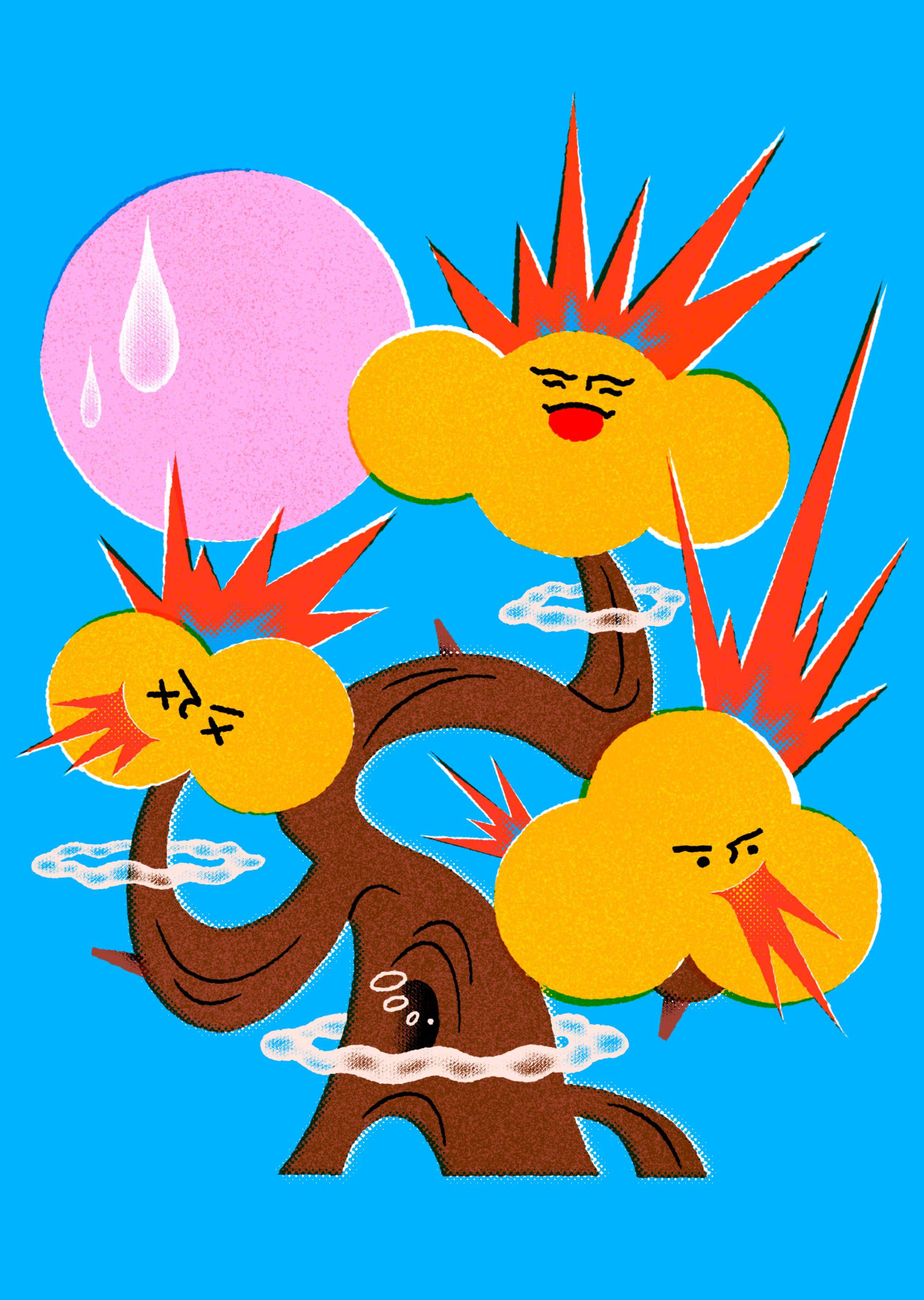 Findwhy illustration 5