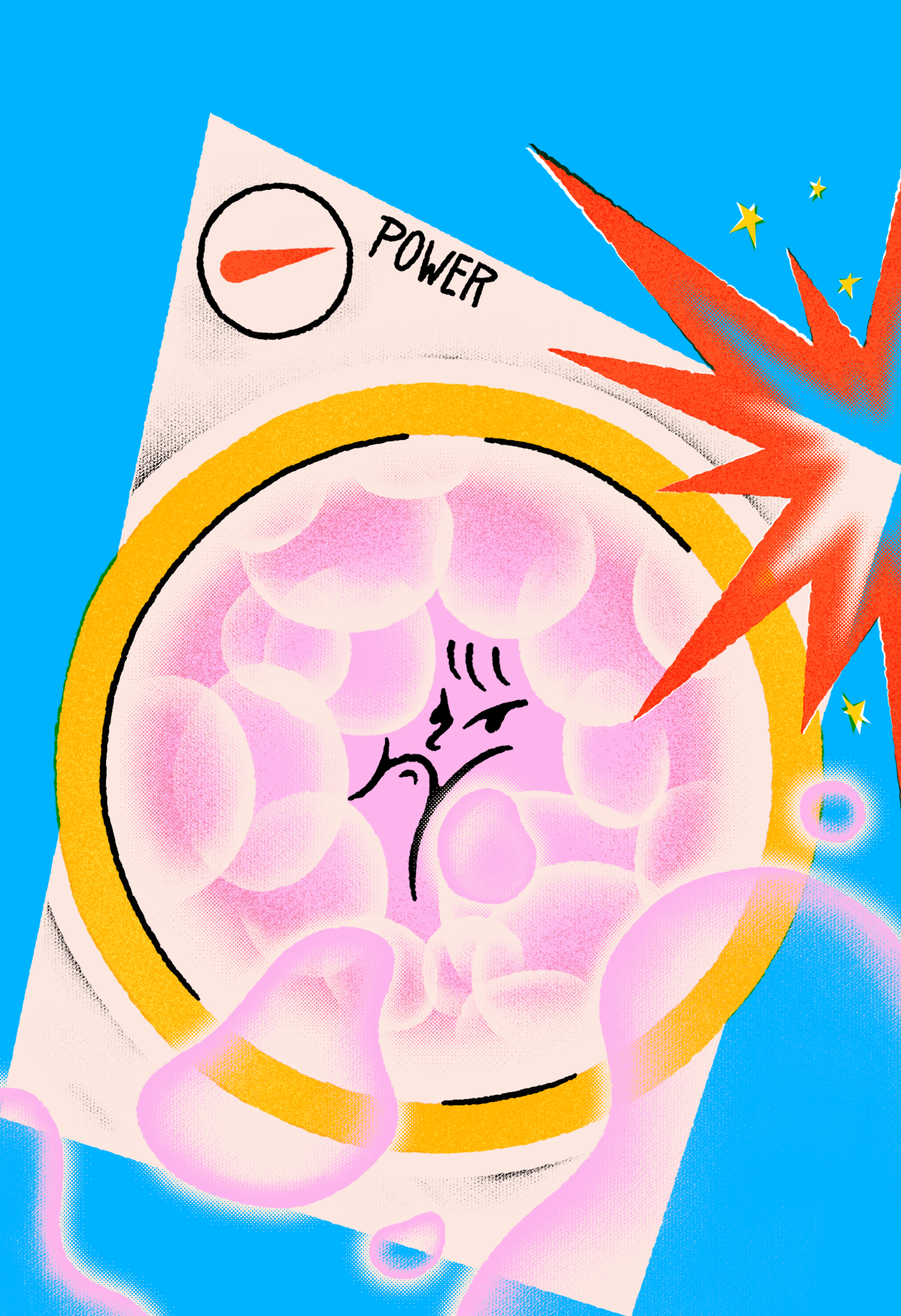 Findwhy illustration 2