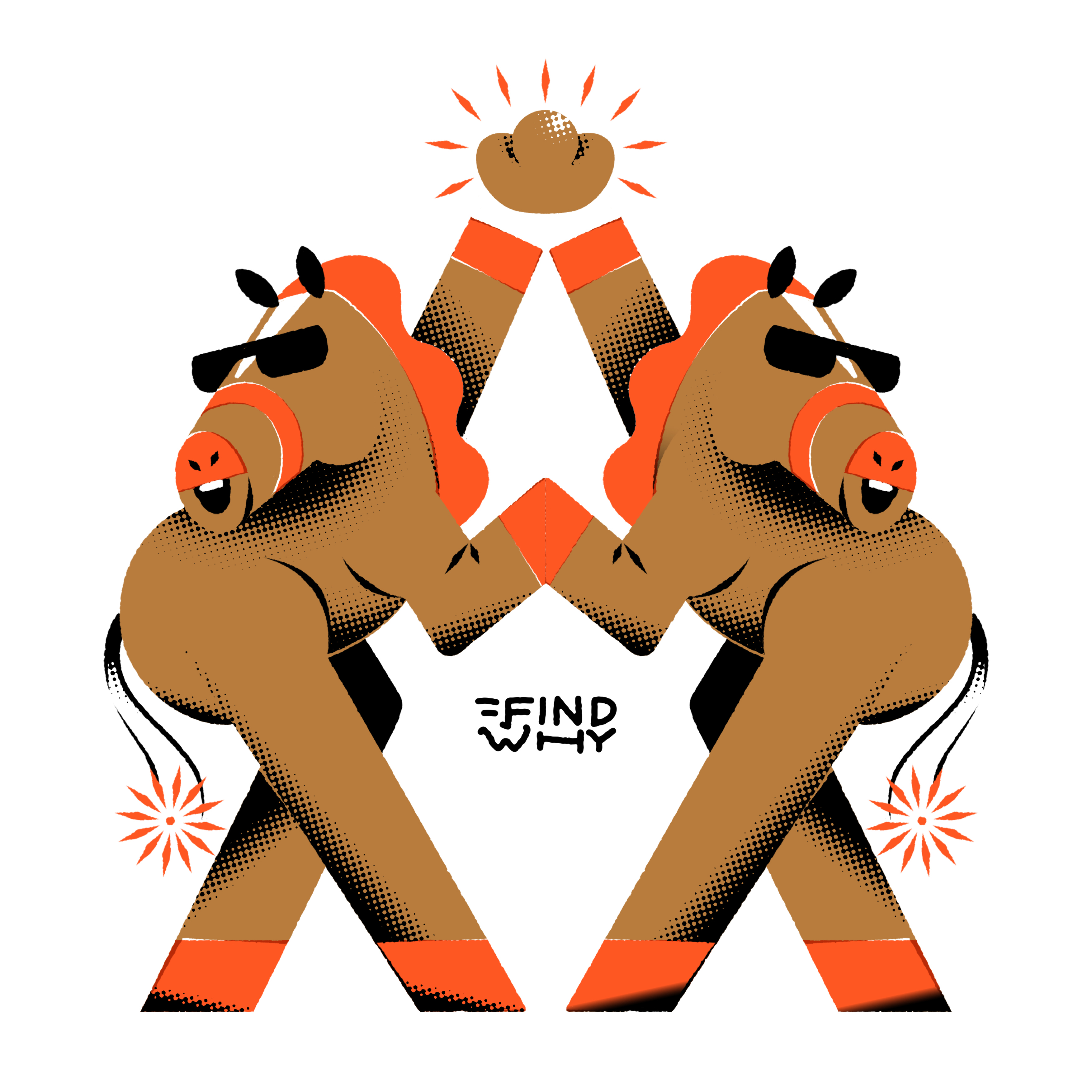 Findwhy illustration 1
