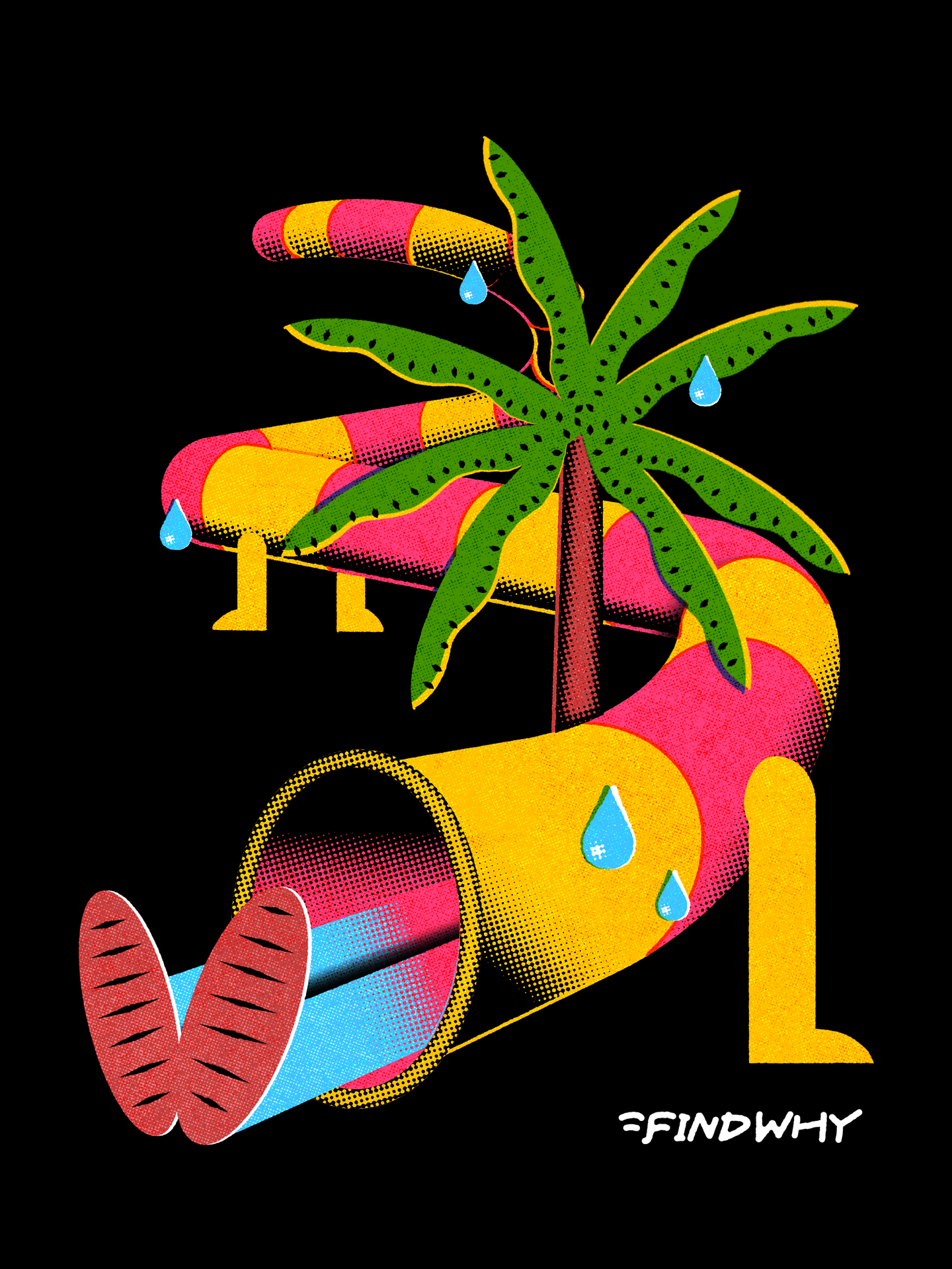 Findwhy illustration 2